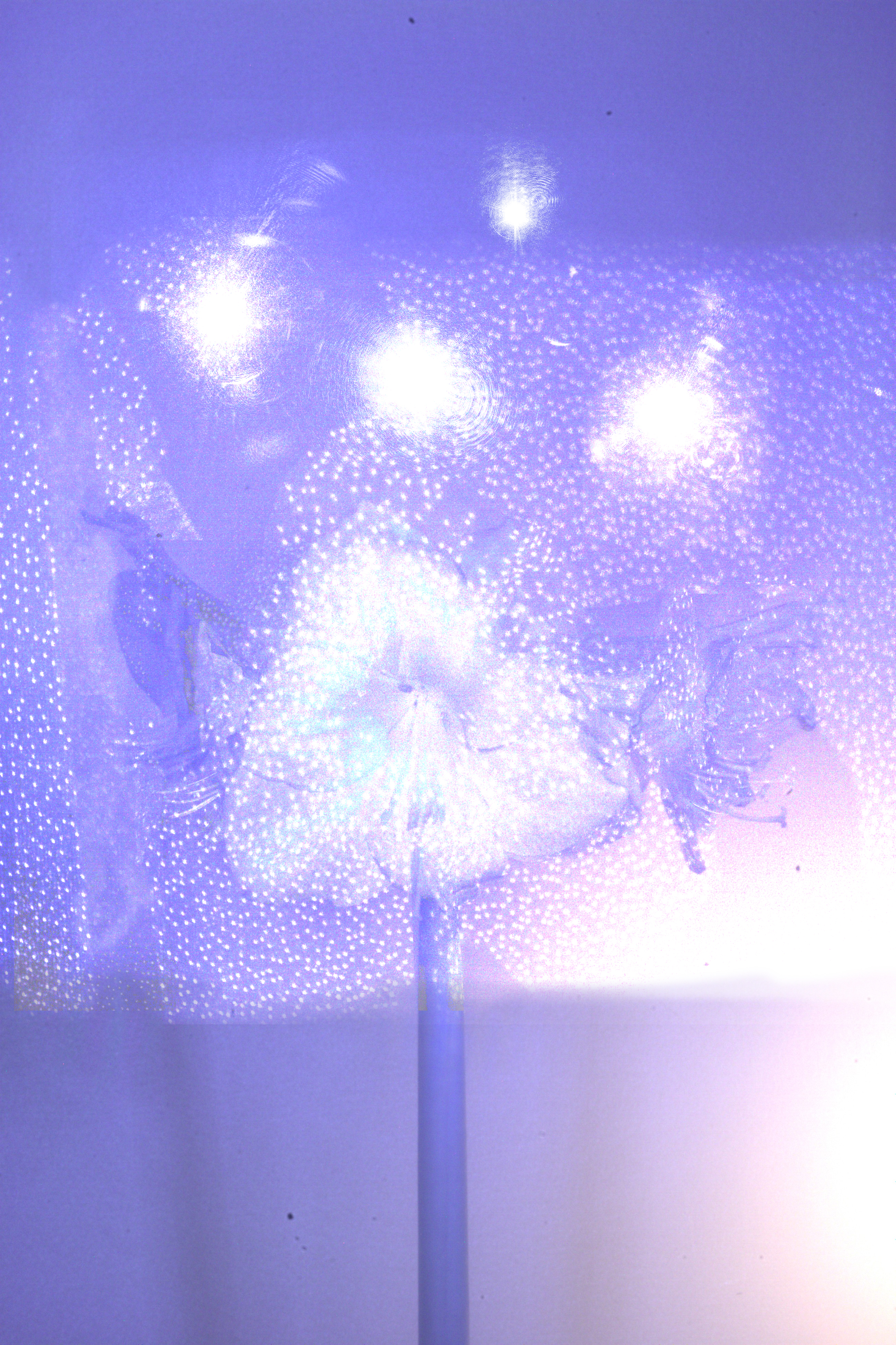 Artwork 5