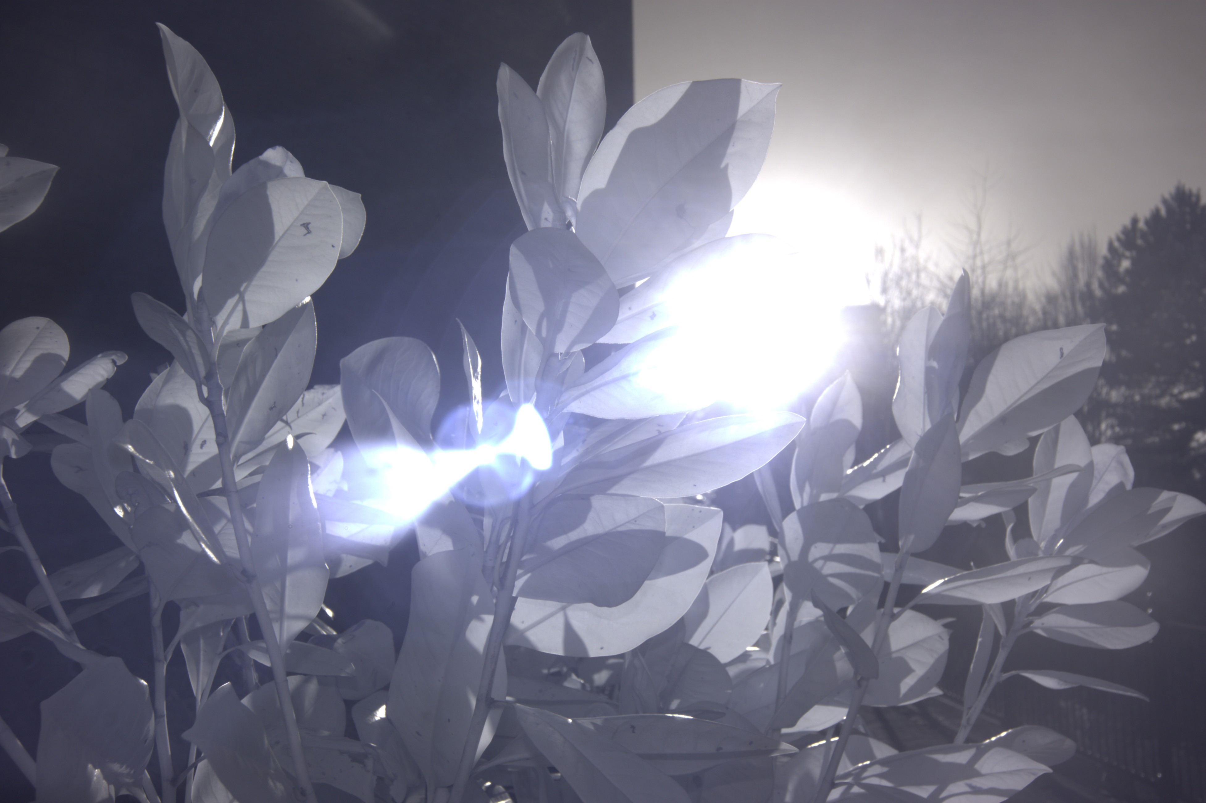 Artwork 6